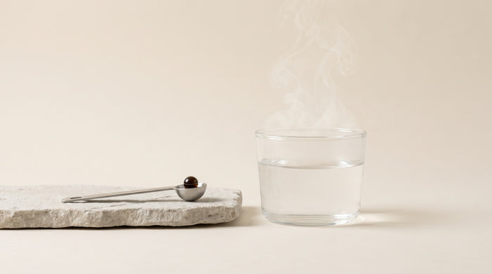 Cómo tomar Shilajit correctamente (dosis, cuándo y errores comunes)