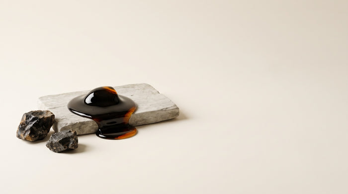 ¿Qué es el Shilajit? Guía completa: beneficios, ácido fúlvico y cómo elegirlo